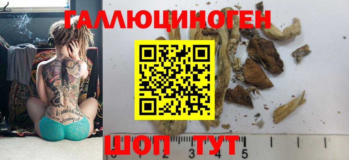 Галлюциногенные грибы Psilocybe  Вход с VPN  Псилоцибиновые грибы Cubensis  Красноармейск 